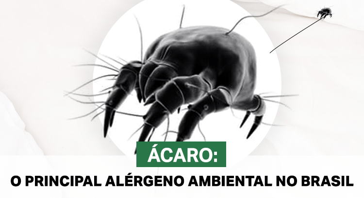 Ácaro: o principal  alérgeno ambiental no Brasil